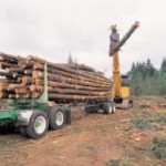 Logging Equipment Appraisal