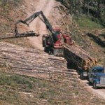 Logging Equipment Appraisal